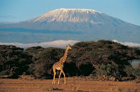Geography of Africa